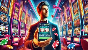 Privacy and responsible gaming guidance for the Mega Wheel page visitors